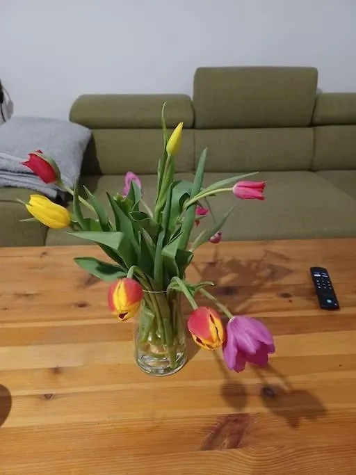 Sehr Zentral Gelegen Apartment Vienna